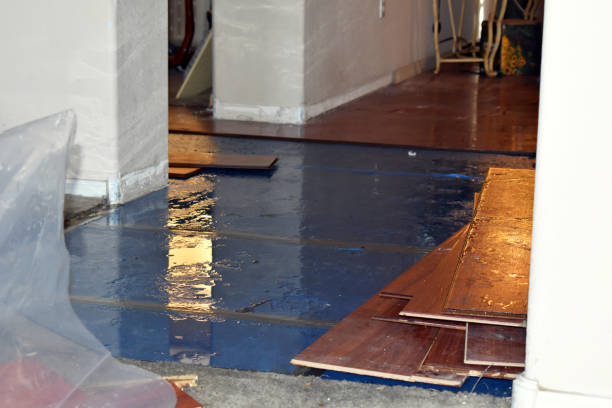 Professional Water Damage Repair technician working in West Newton, MA